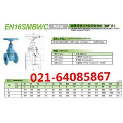 EN16SMBWC球墨铸铁法兰闸阀北泽